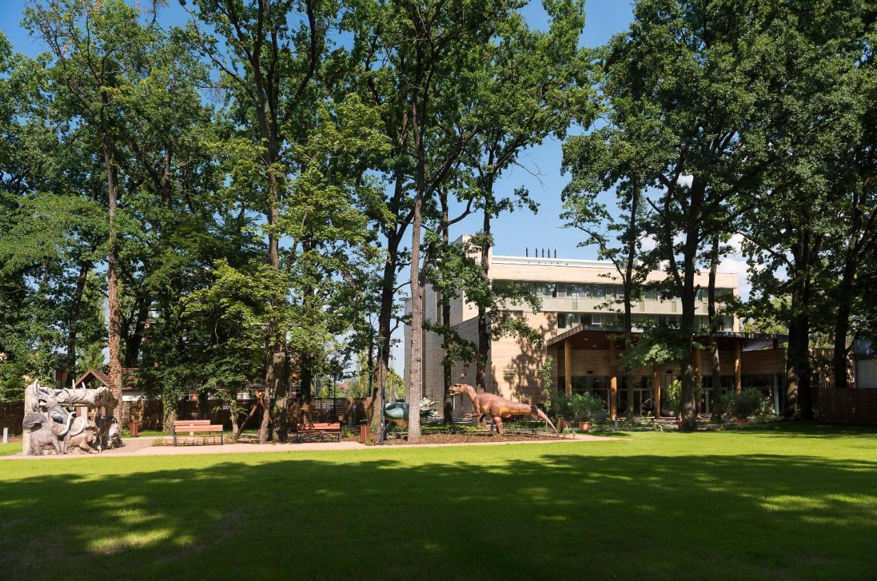 Pangea Hotel Nyiregyhaza Exterior photo